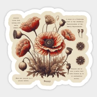 Vintage Poppy Flower Botanical Sticker